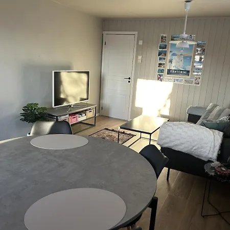 Winter Apartment